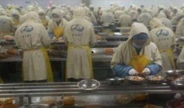 剥虾工人爆料视频播放下载,揭秘海鲜加工行业幕后真相